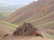 Denali National Park