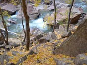 Zion national park
