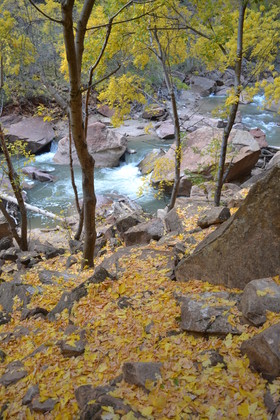 Zion national park