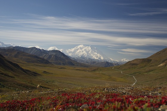 Denali National Park