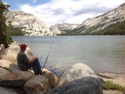 Yosemite National Park