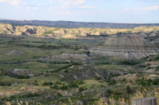  Theodore Roosevelt National Park