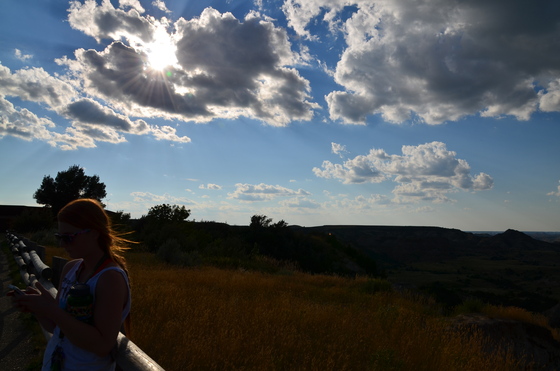 Theodore Roosevelt National Park