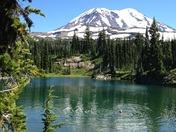 Gifford Pinchot National Forest