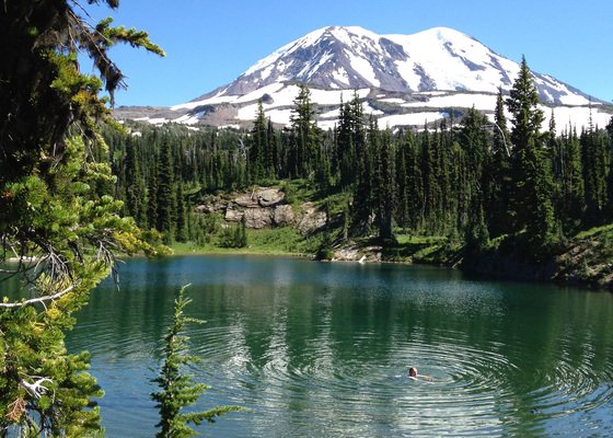 Gifford Pinchot National Forest