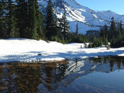 Willamette National Forest