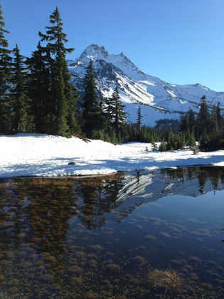 Willamette National Forest
