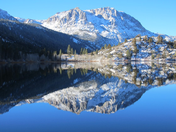 Inyo National Forest