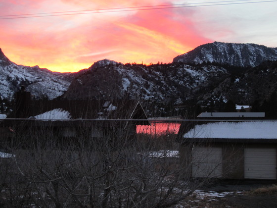 Inyo National Forest