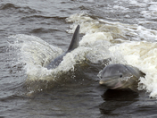 Everglades National Park