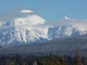 Flathead National Forest