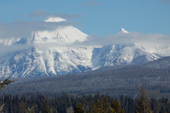 Flathead National Forest