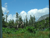Glacier National Park