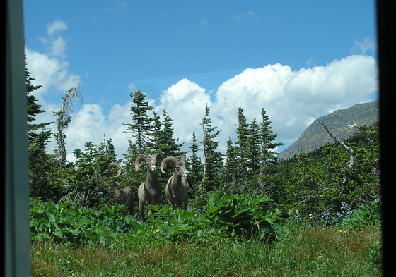 Glacier National Park