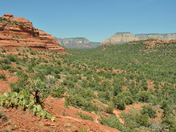 Coconino National Forest