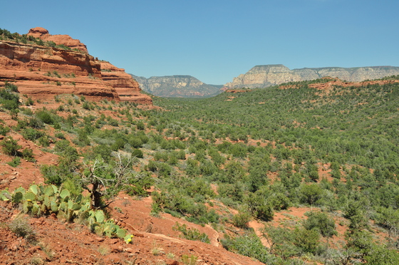 Coconino National Forest