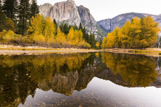 Yosemite National Park