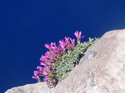 Crater Lake National Park