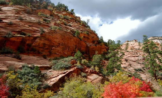 Mt. Zion National Park