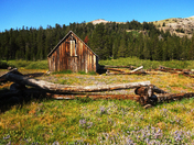 Pacific Coast Trail / Mokilumne Wilderness