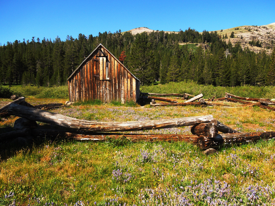 Pacific Coast Trail / Mokilumne Wilderness