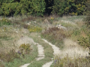 "Down the Beaten Path"