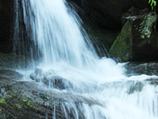 Cherokee National Forest
