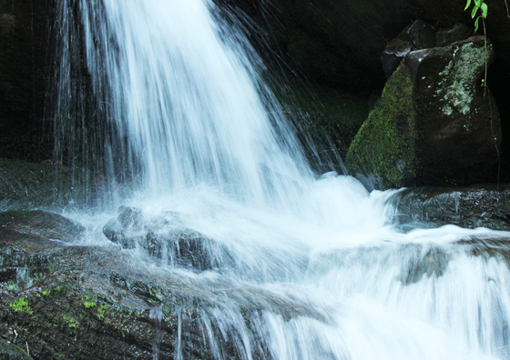 Cherokee National Forest