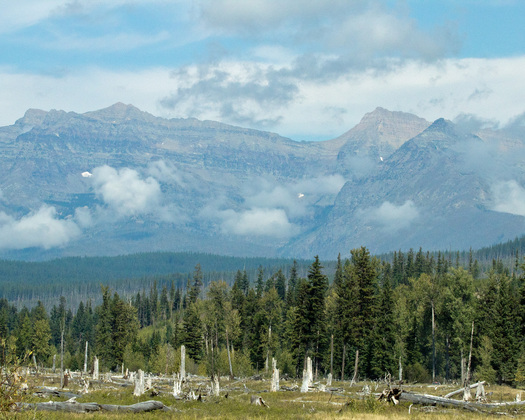 Glacier National Park