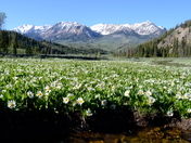 Sawtooth National Recreation Area