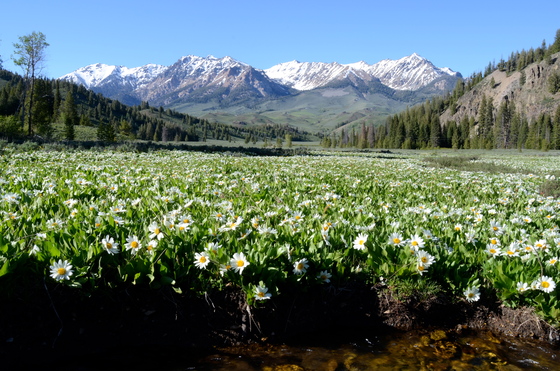 Sawtooth National Recreation Area