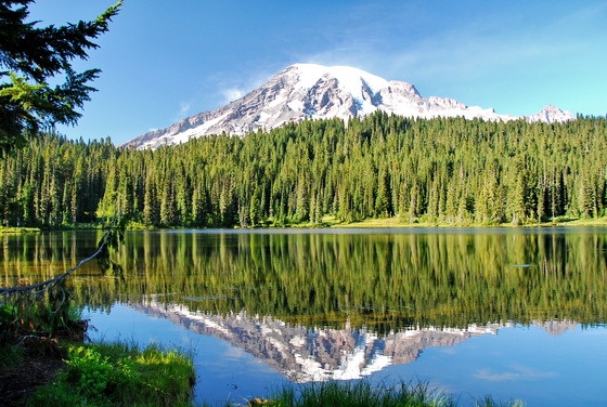 Mount Rainier National Park