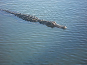 EVERGLADES NATIONAL PARK