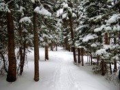 Rocky Mountain National Park