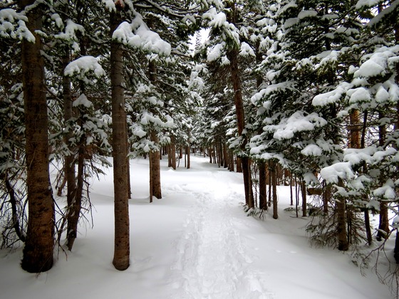 Rocky Mountain National Park
