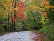 Big South Fork National Recreation Area