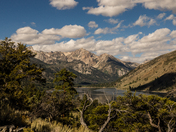 Toiyabe National Forest