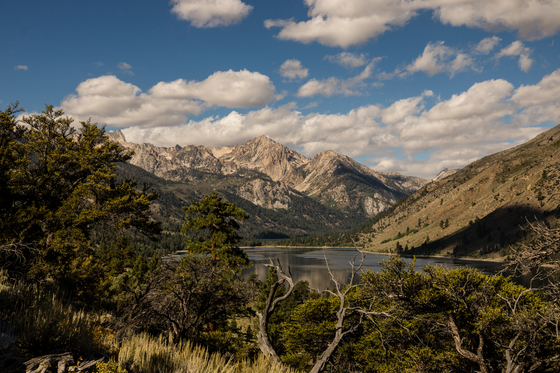Toiyabe National Forest