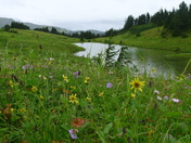 Chugach National Forest