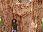 Capitol Reef National Park