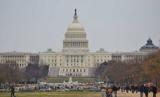 National Mall/Capital Building