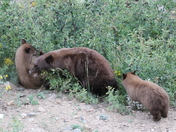 rocky mountain national park
