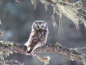 Santa Fe National Forest