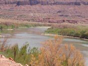 Arches National Park