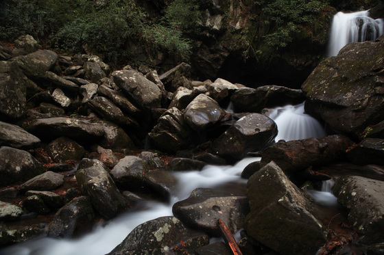 Great Smoky Mountain National Park