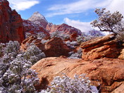 Zion National Park