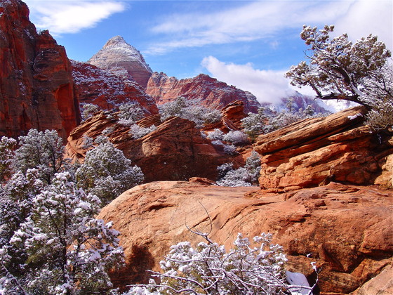 Zion National Park