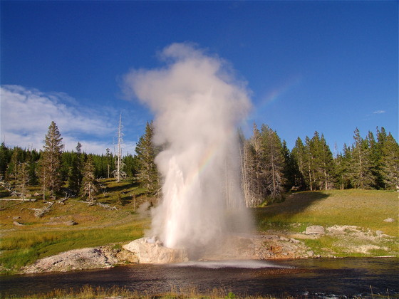 Yellowstone national Park