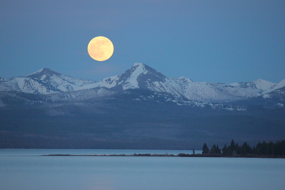 Yellowstone National Park