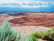 Petrified Forest National Park